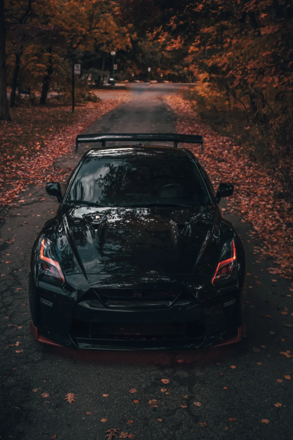 A black Nissan GT-R head-on in a tunnel of autumn trees, the road covered in red leaves.