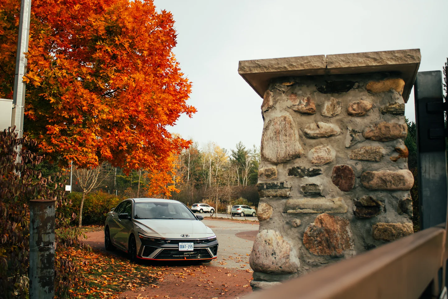 A dark Hyundai Elantra N parked beside a stone pillar with a maple in full autumn colour.