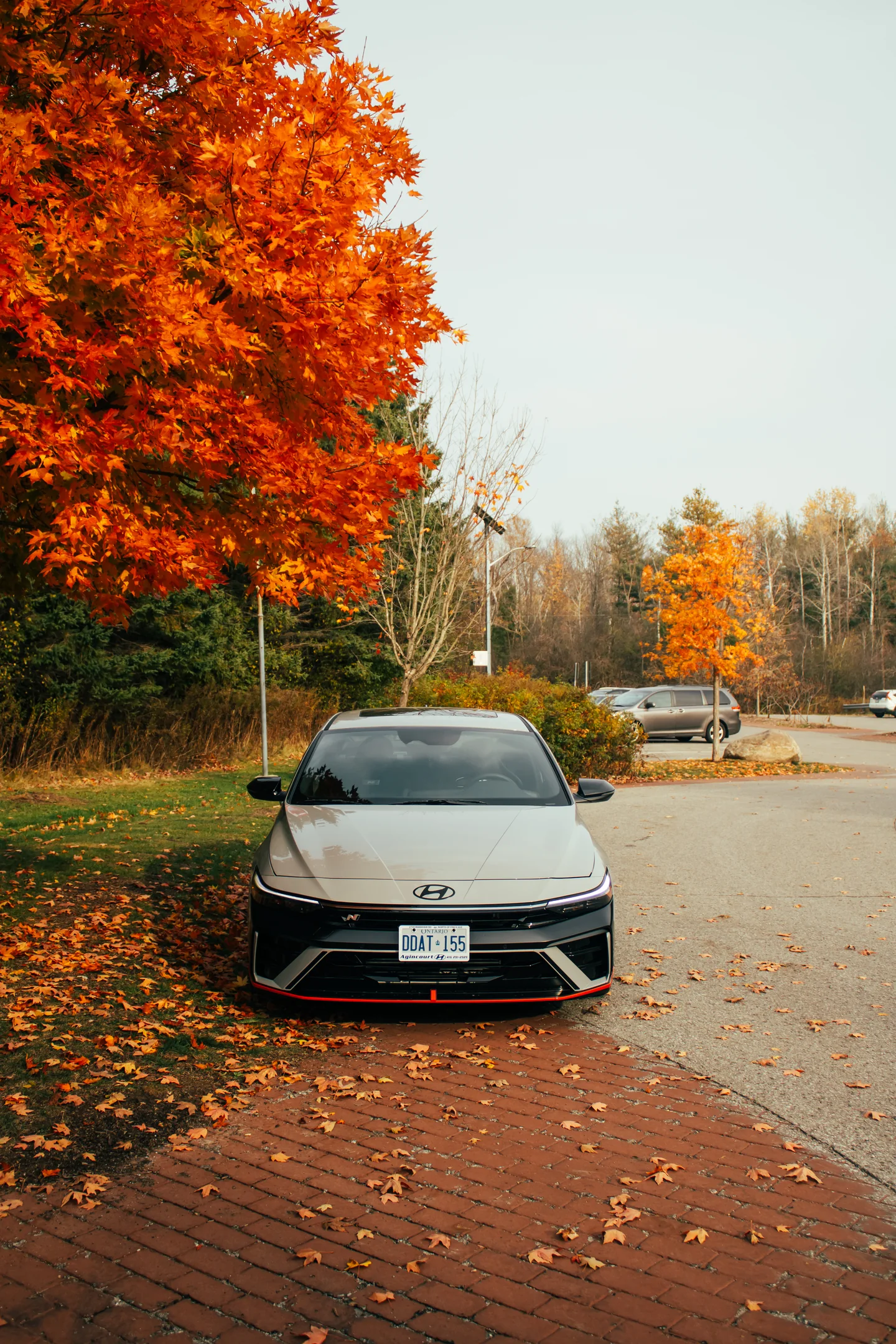 A Hyundai Elantra N head-on on a leaf-covered brick path with orange maples behind it.